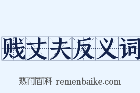贱丈夫反义词是什么意思的图片